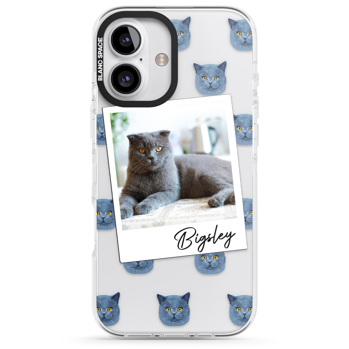 Personalised English Blue Cat Photo