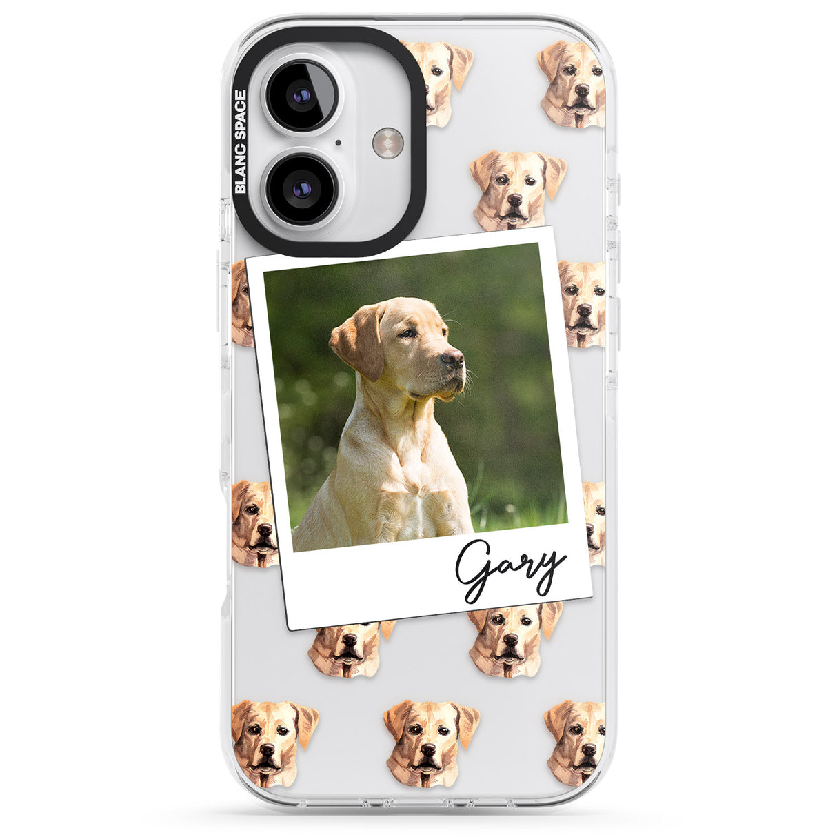 Personalised Labrador, Tan - Dog Photo