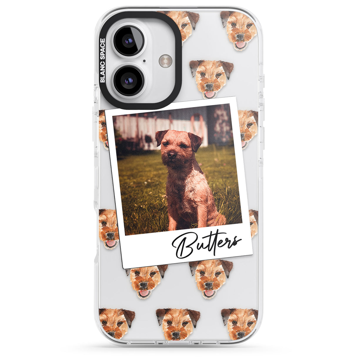 Personalised Border Terrier - Dog Photo