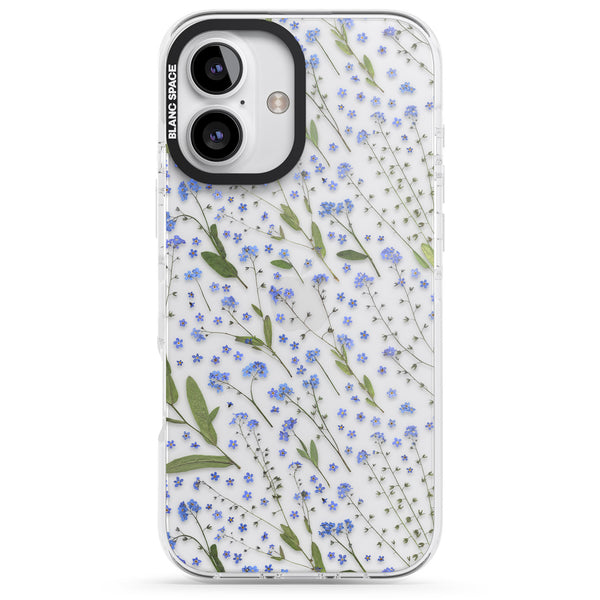 Blue Meadow