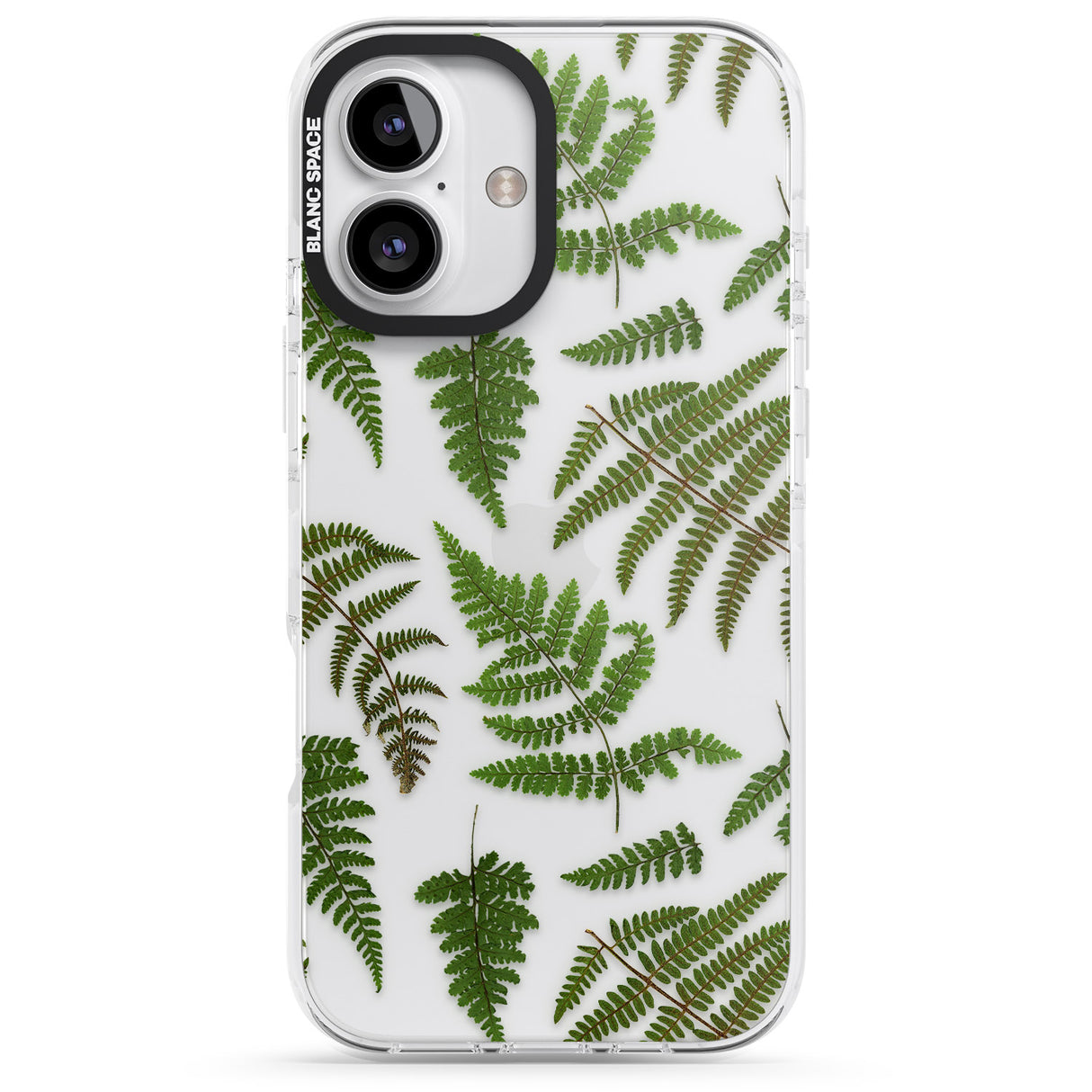 Leafy Ferns