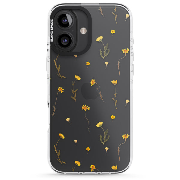 Yellow Wildflower