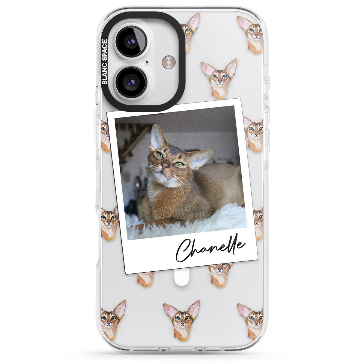 Personalised Abyssinian Cat Photo