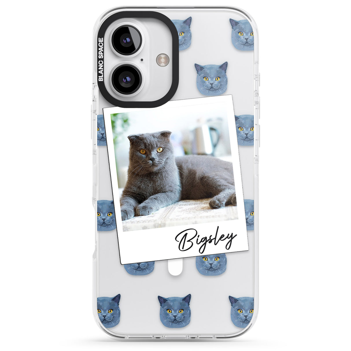 Personalised English Blue Cat Photo