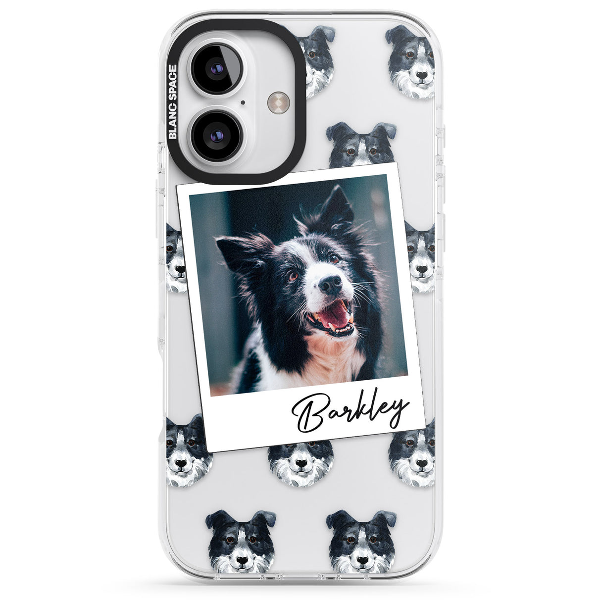 Personalised Border Collie - Dog Photo