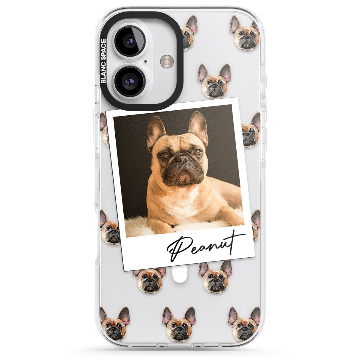 Personalised French Bulldog, Tan - Dog Photo