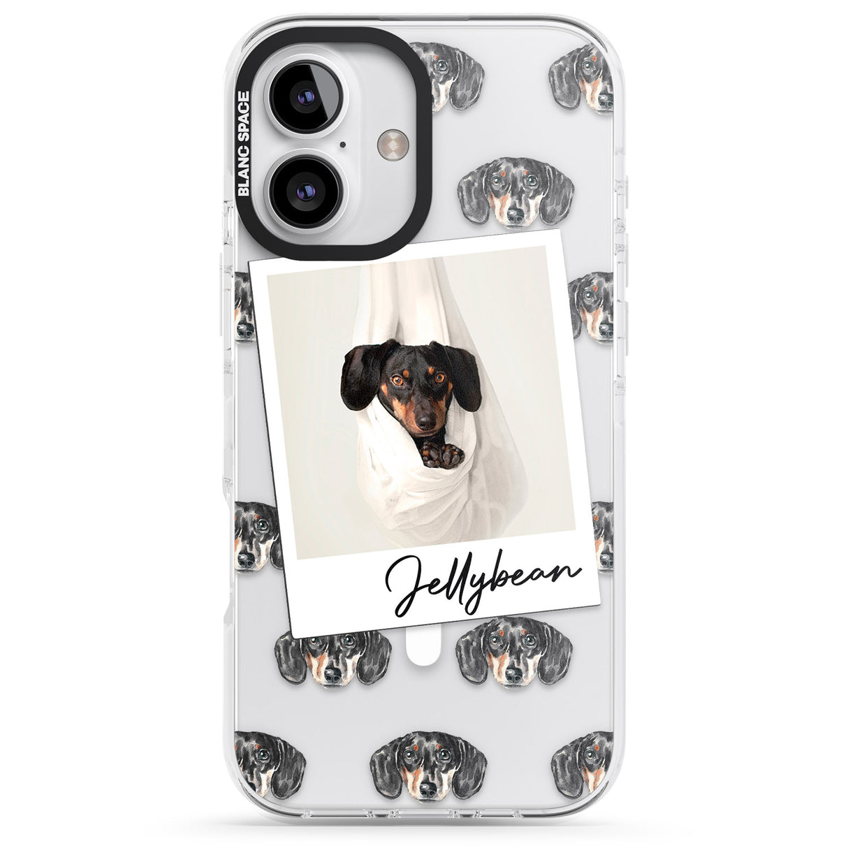 Personalised Dachshund, Black- Dog Photo