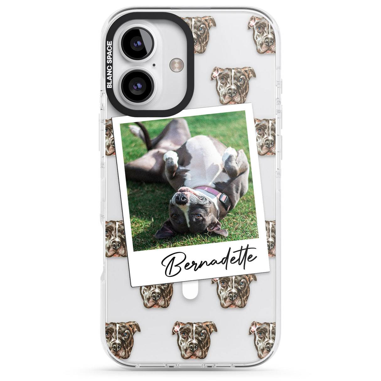 Personalised Staffordshire Bull Terrier - Dog Photo