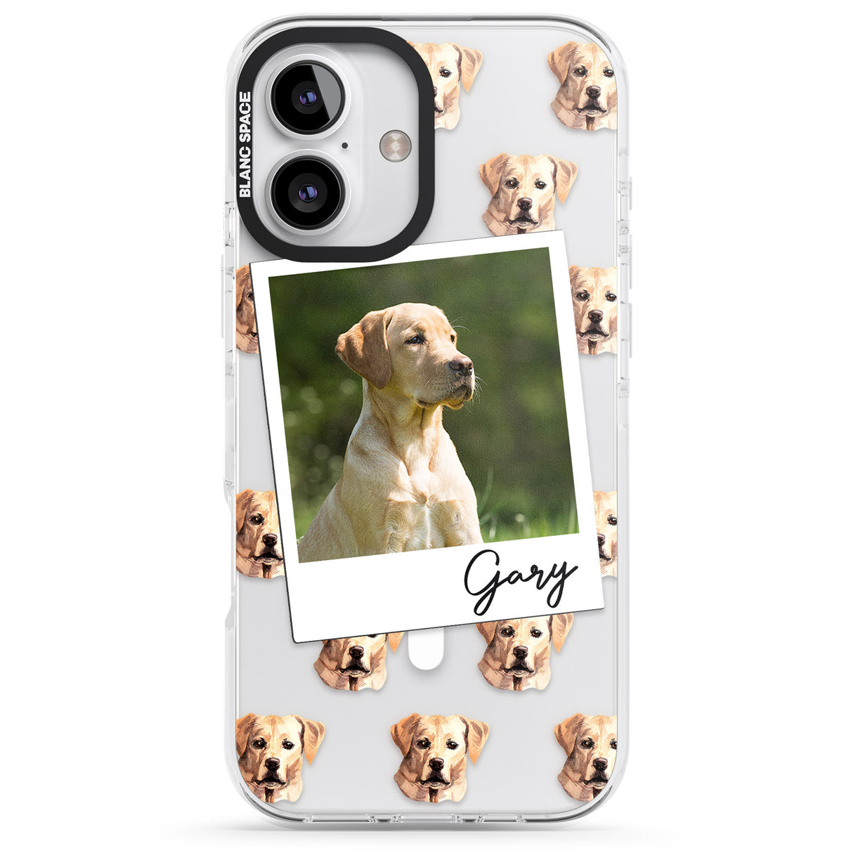 Personalised Labrador, Tan - Dog Photo