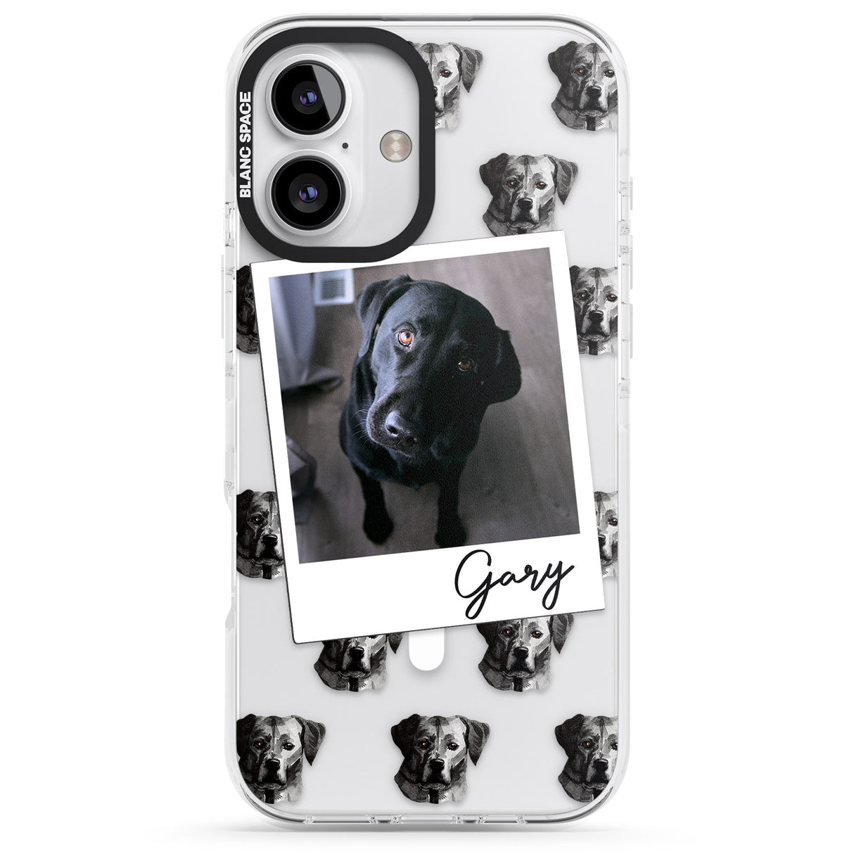 Personalised Labrador, Black - Dog Photo