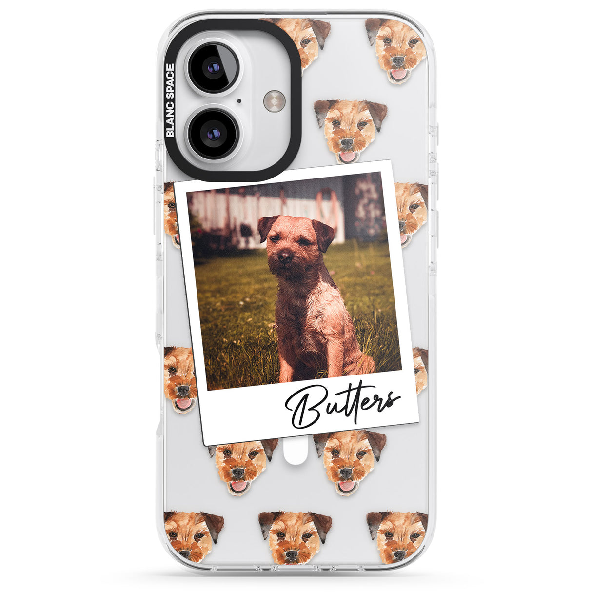 Personalised Border Terrier - Dog Photo