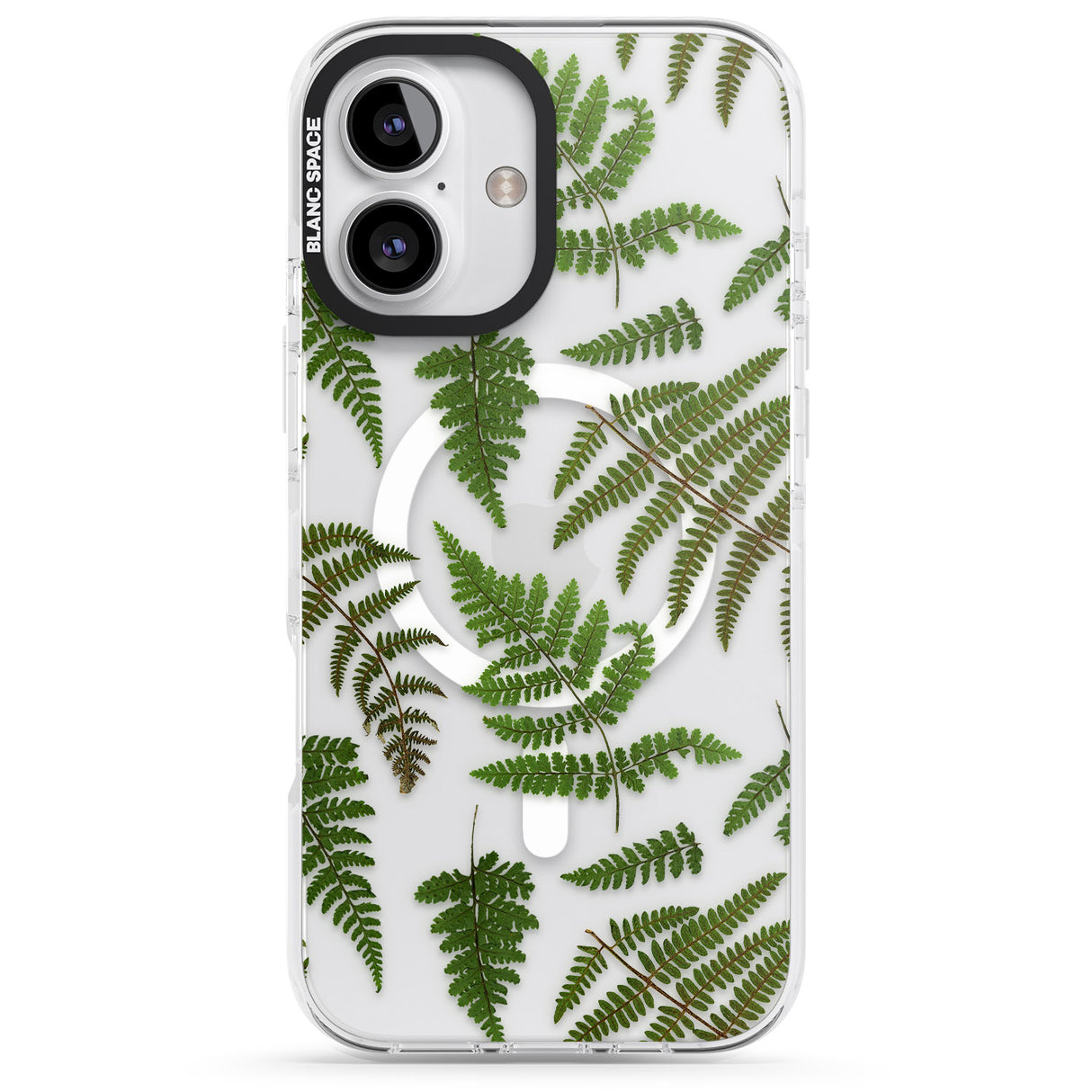 Leafy Ferns