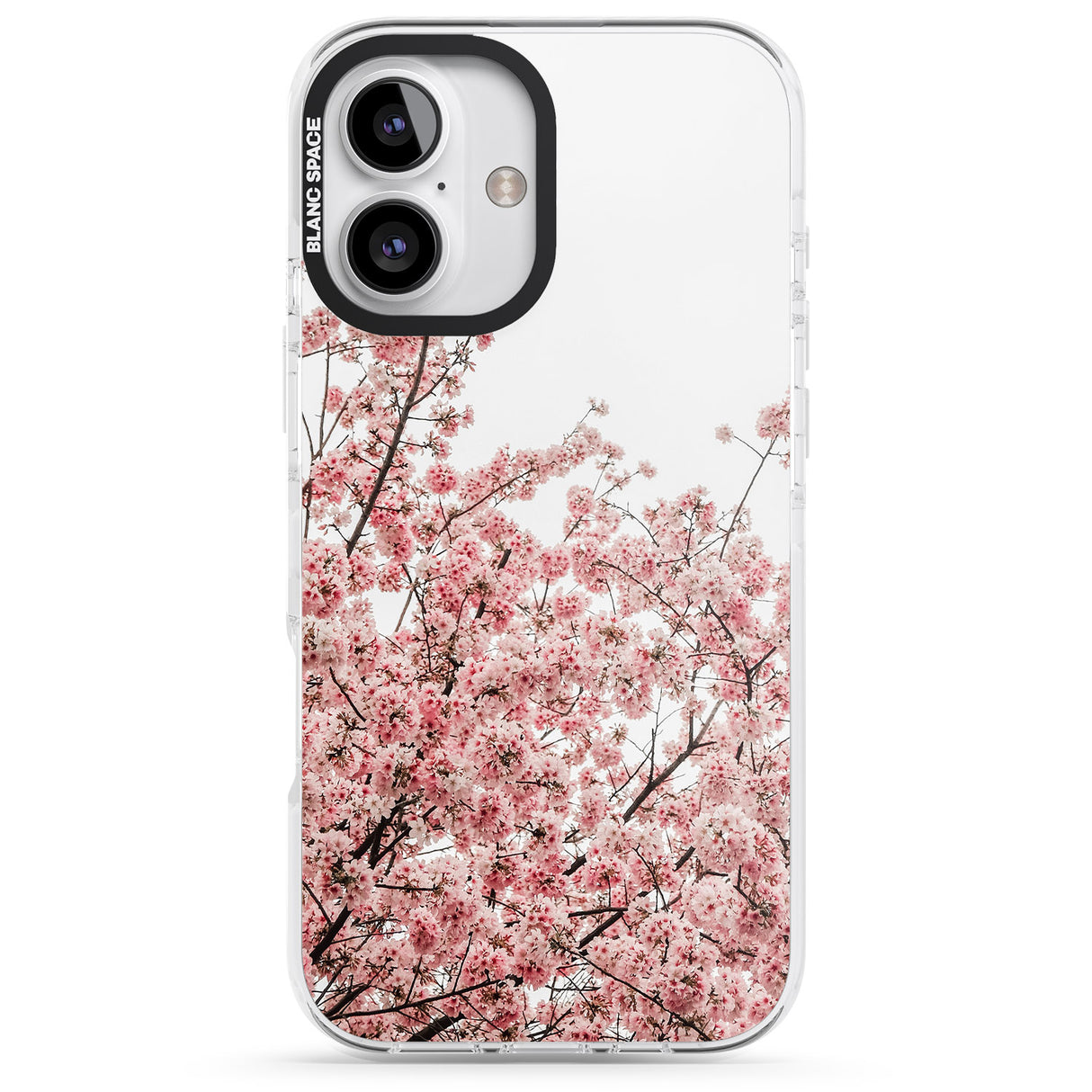 Cherry Blossoms - Real Floral Photographs