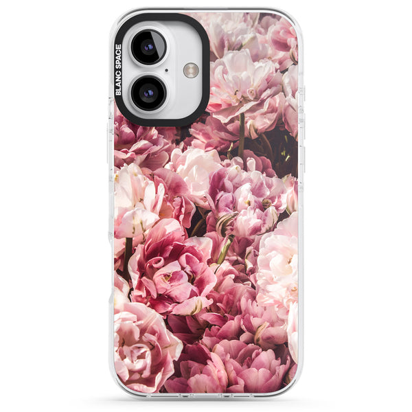 Peony Dream