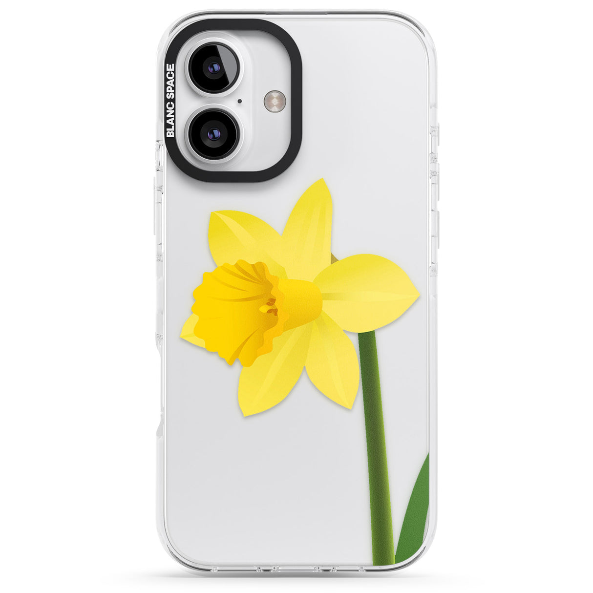 Daffodil