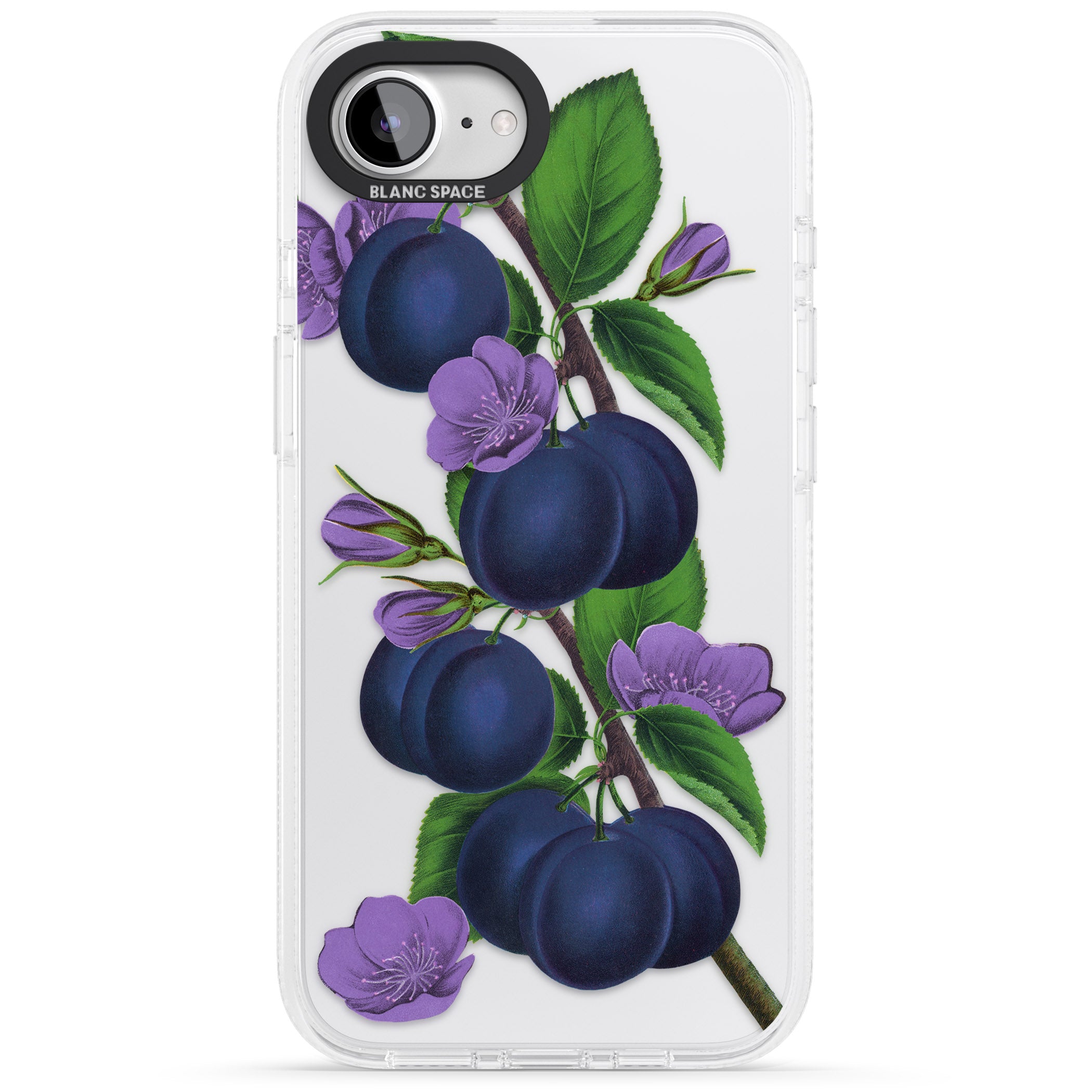 Vintage Painted Plums iPhone 16e Clear Case Impact Air - Blanc Space