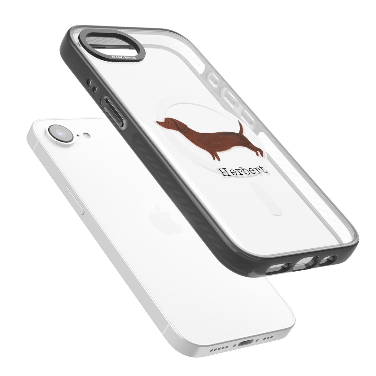 Personalised Hand Painted Sausage Dog