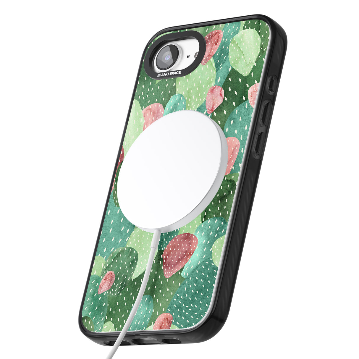 Colourful Cactus Mix Design