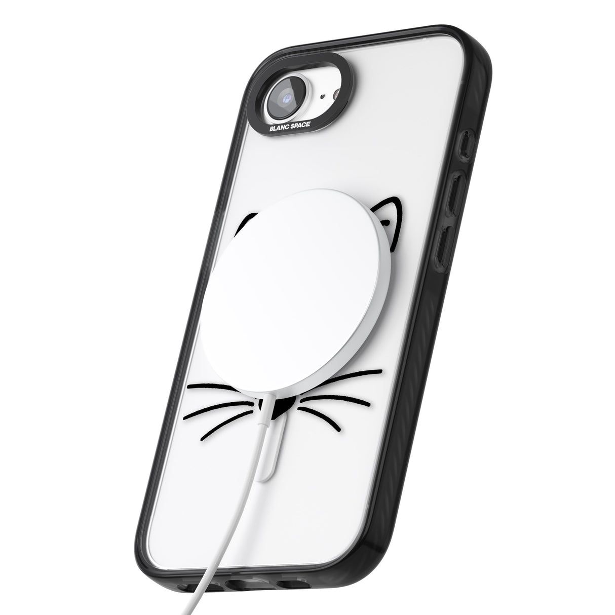 Cat Whiskers