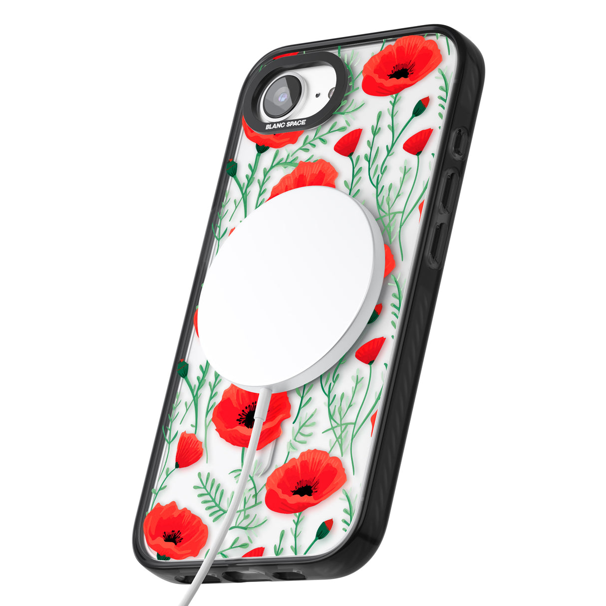Poppy Garden