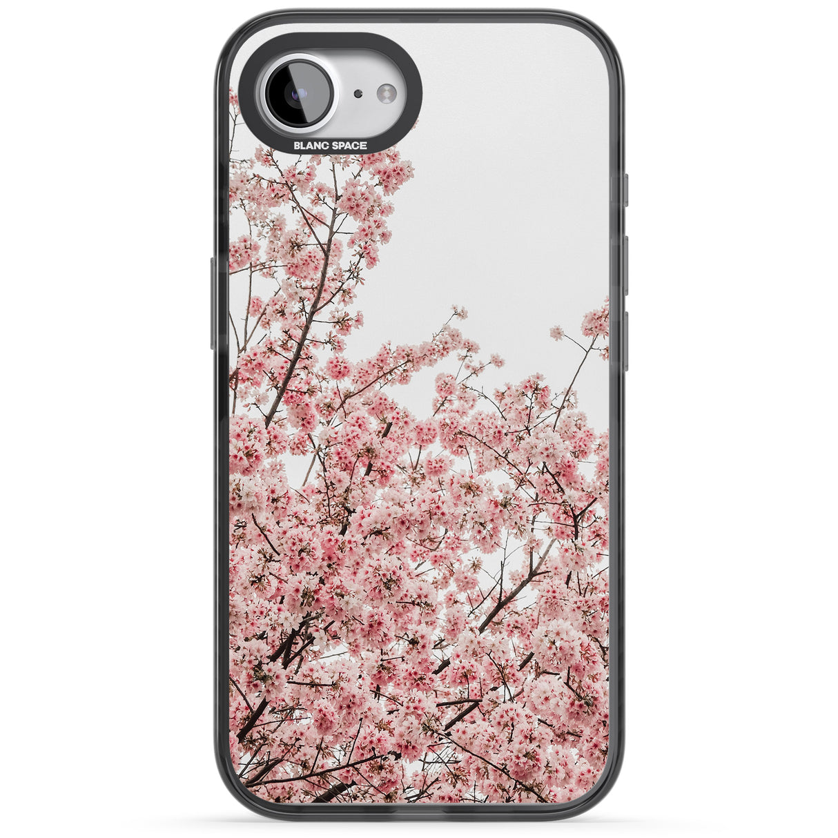 Cherry Blossoms - Real Floral Photographs