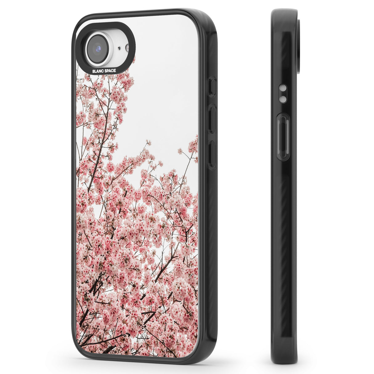 Cherry Blossoms - Real Floral Photographs