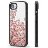 Cherry Blossoms - Real Floral Photographs