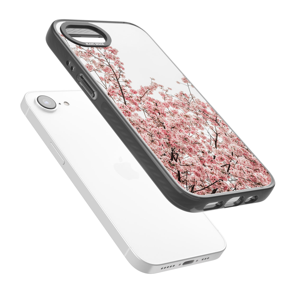 Cherry Blossoms - Real Floral Photographs