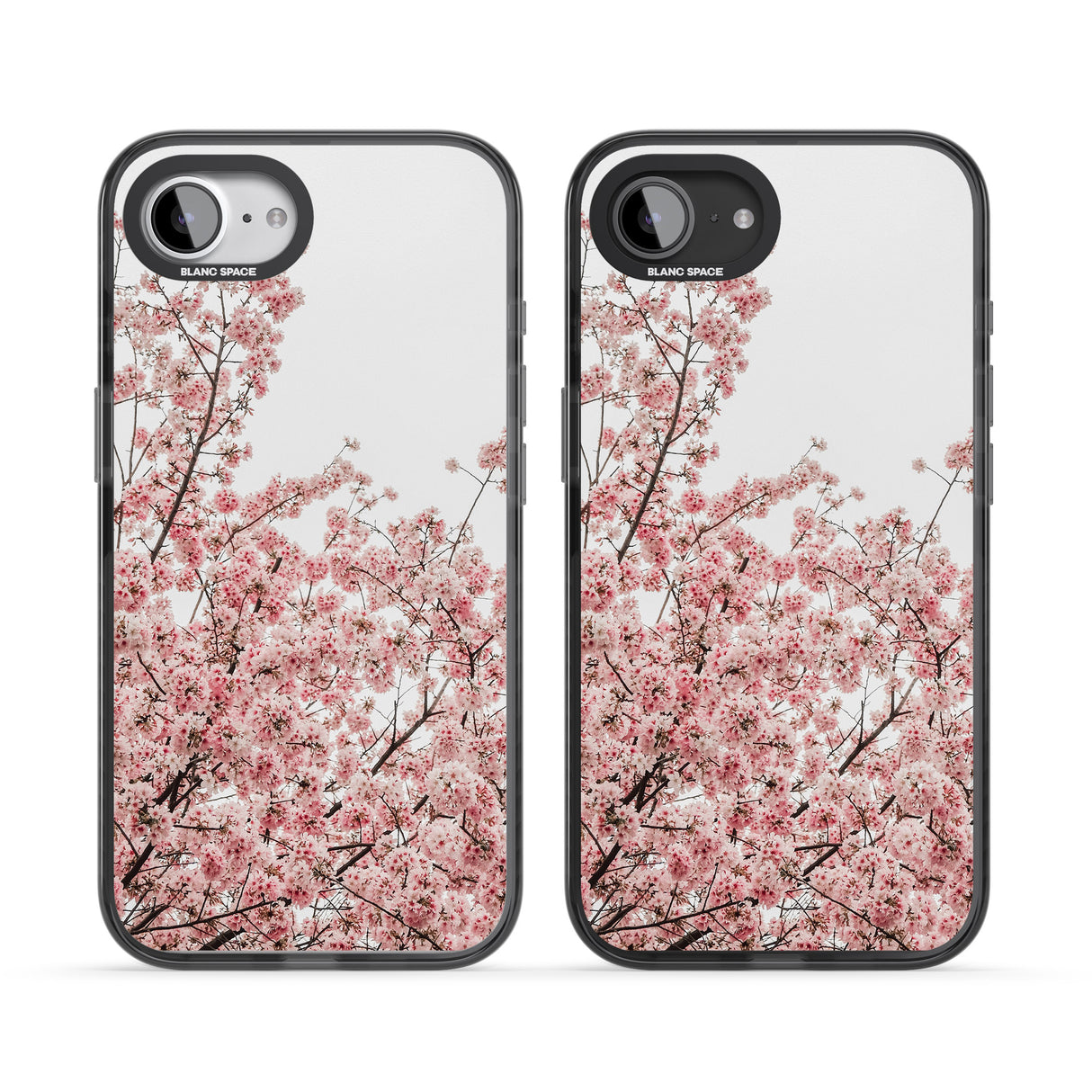 Cherry Blossoms - Real Floral Photographs