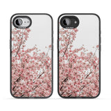Cherry Blossoms - Real Floral Photographs