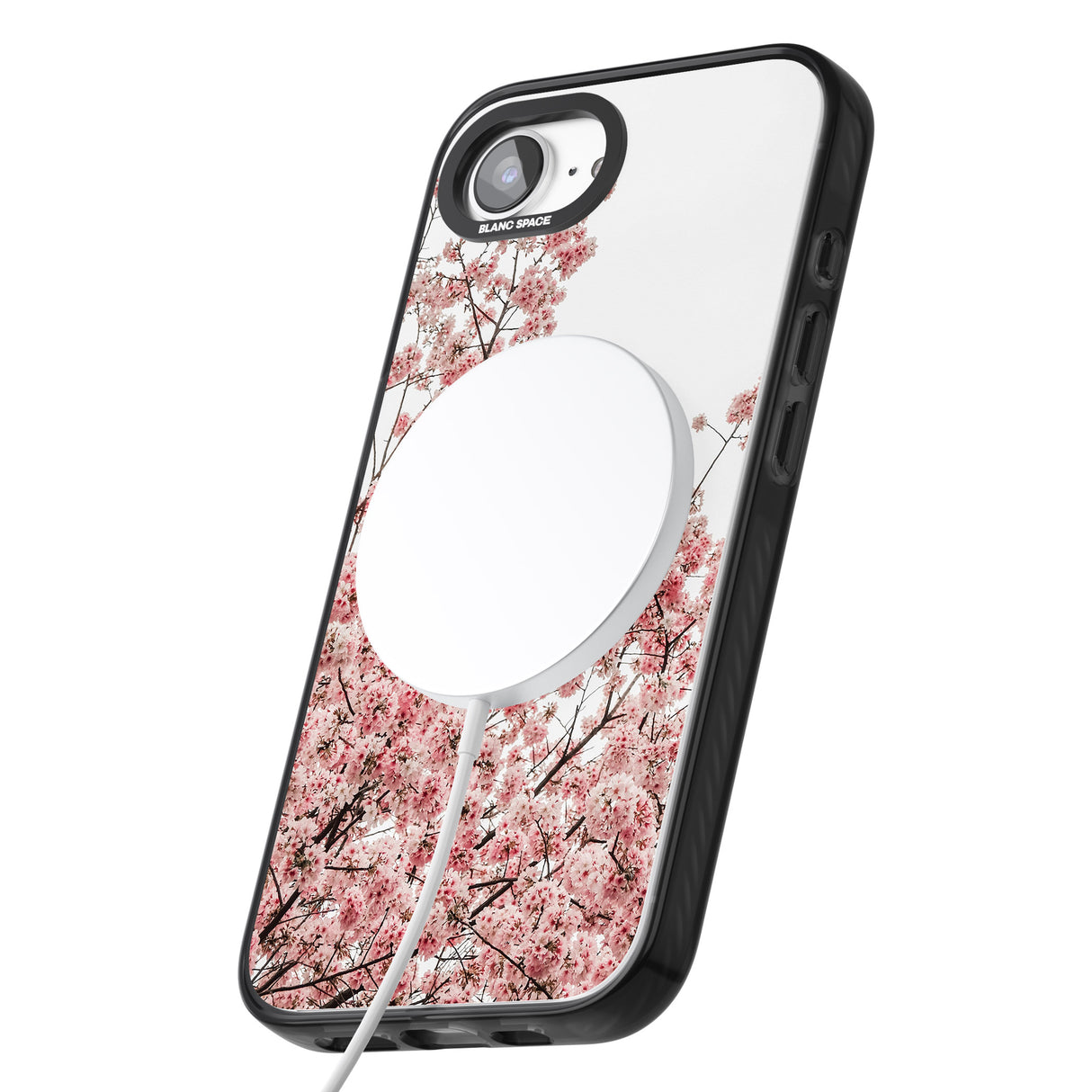 Cherry Blossoms - Real Floral Photographs