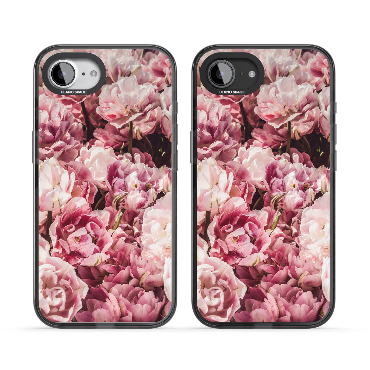 Pink Peonies