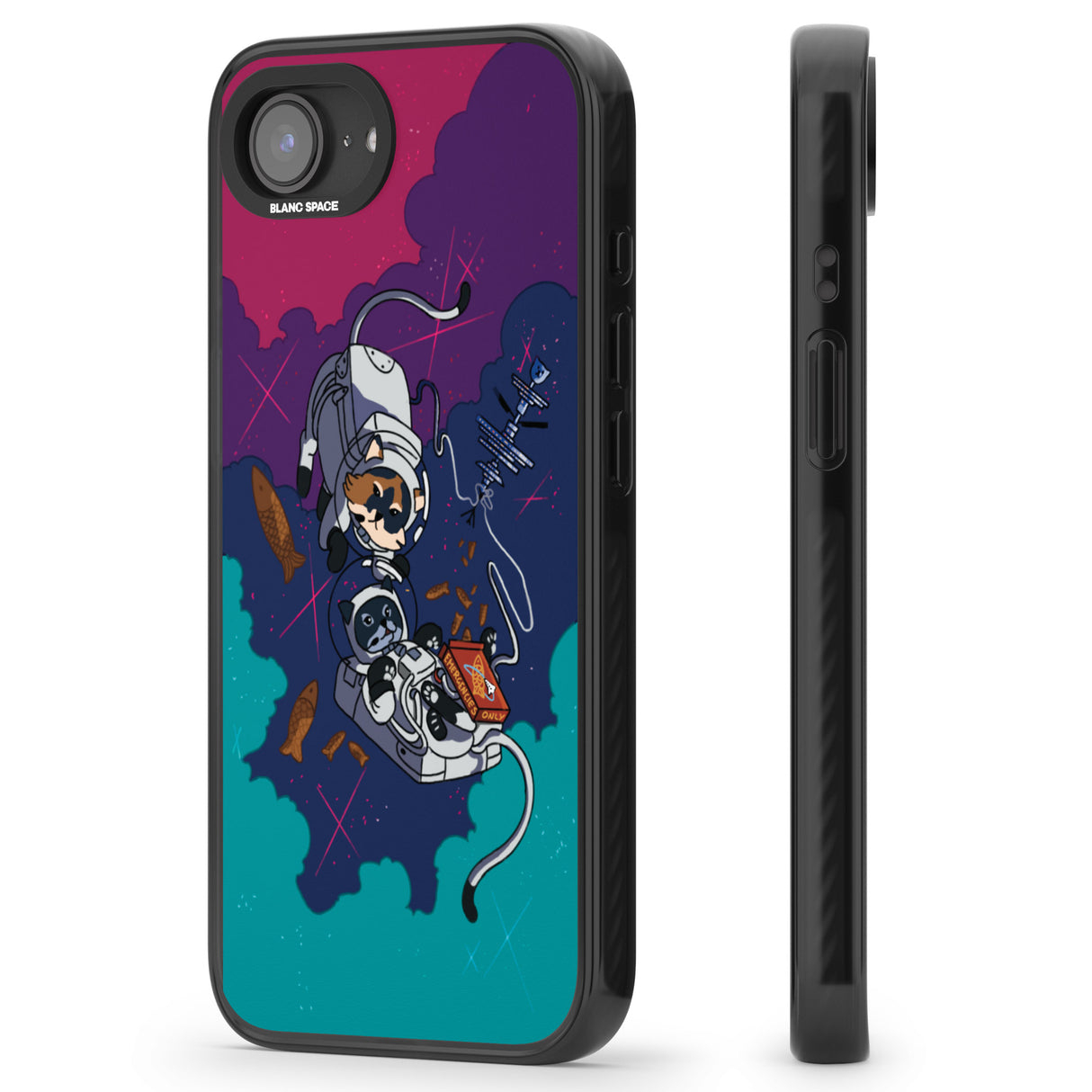 Cats In Space