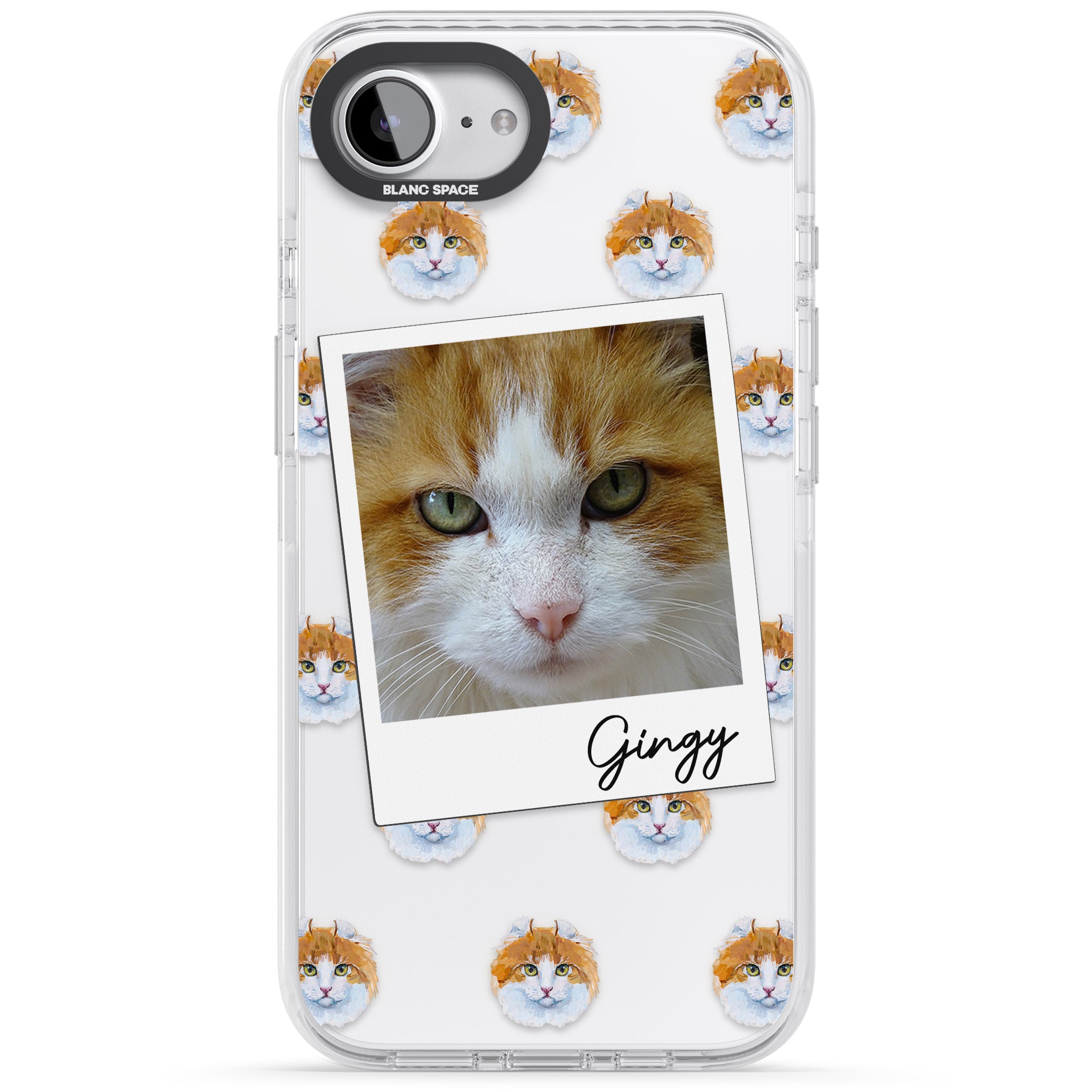 Personalised American Curl Photo