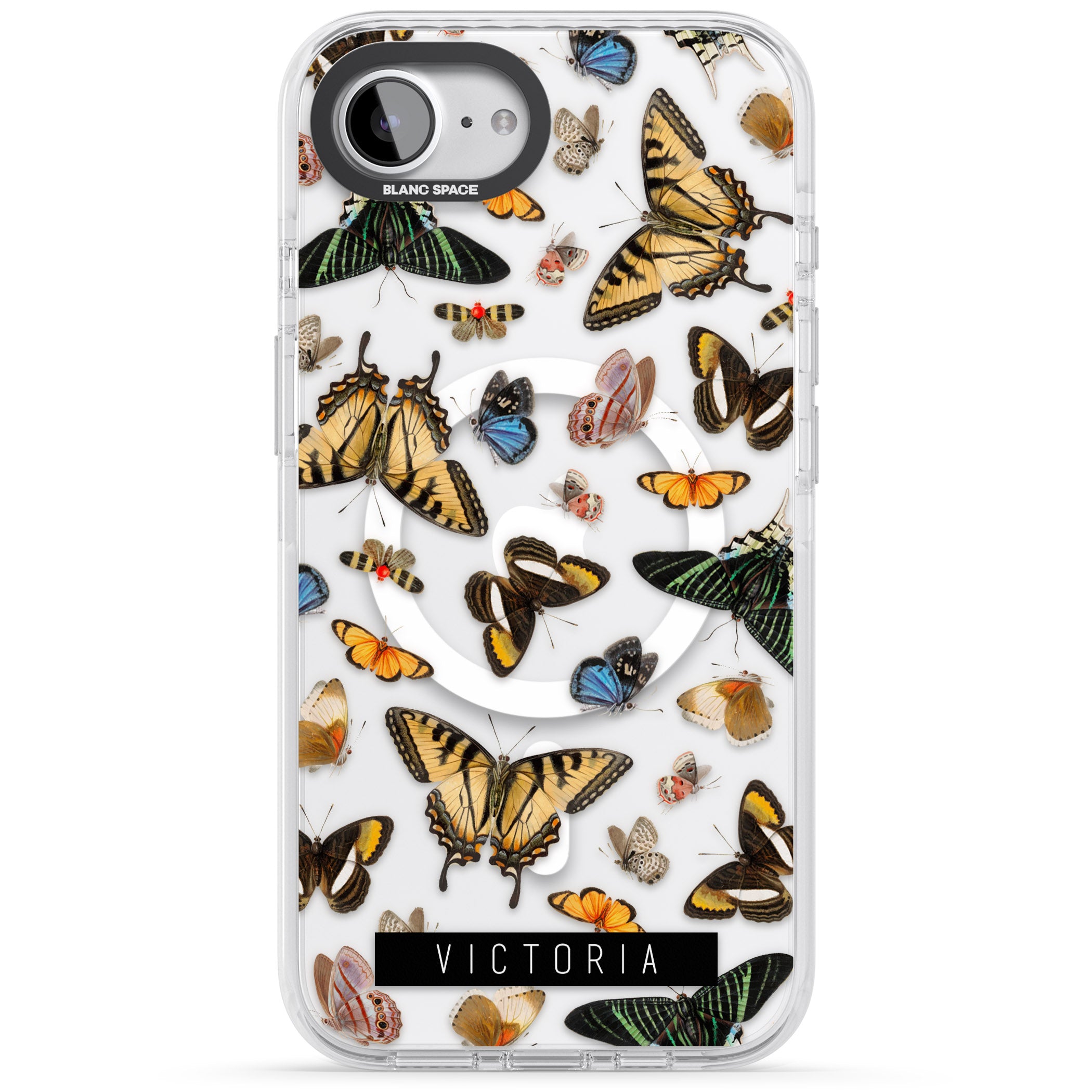Personalised Butterfly Archive