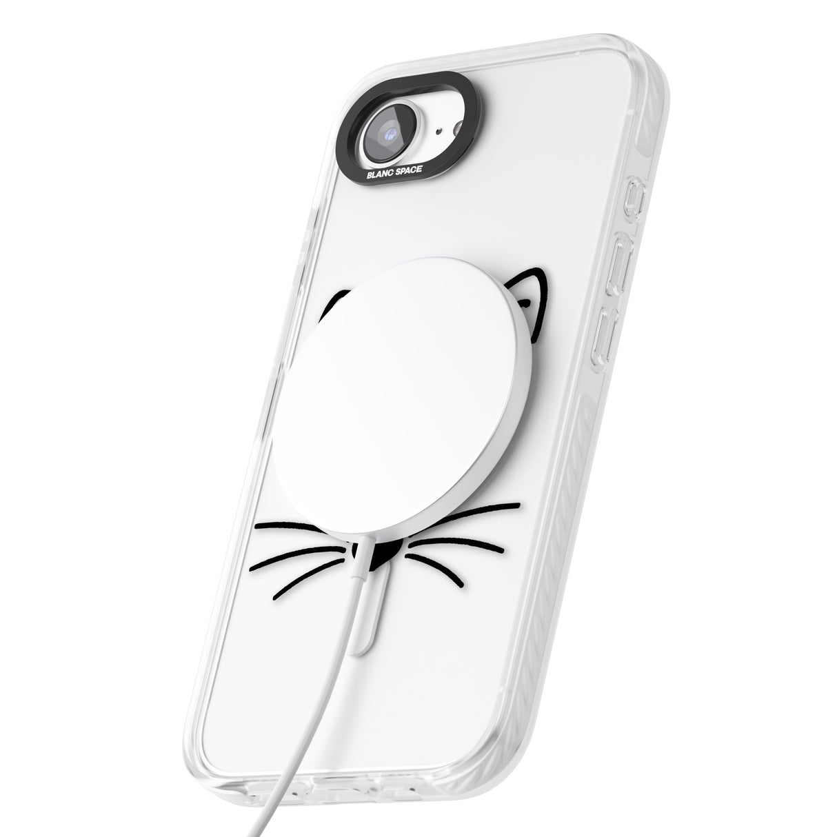 Cat Whiskers