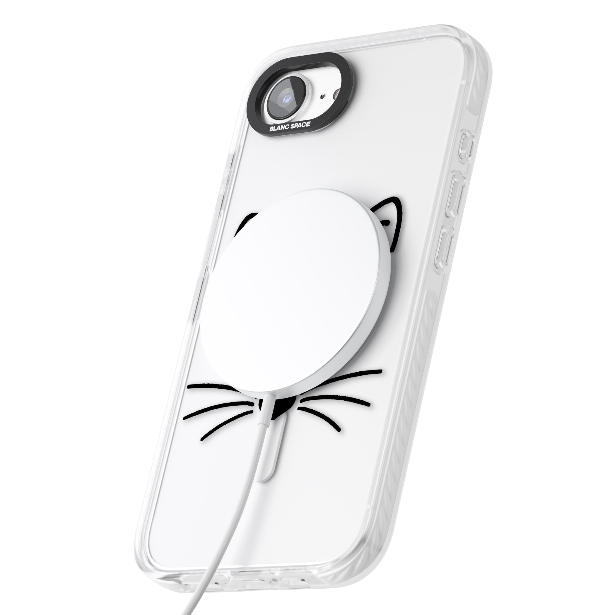 Cat Whiskers