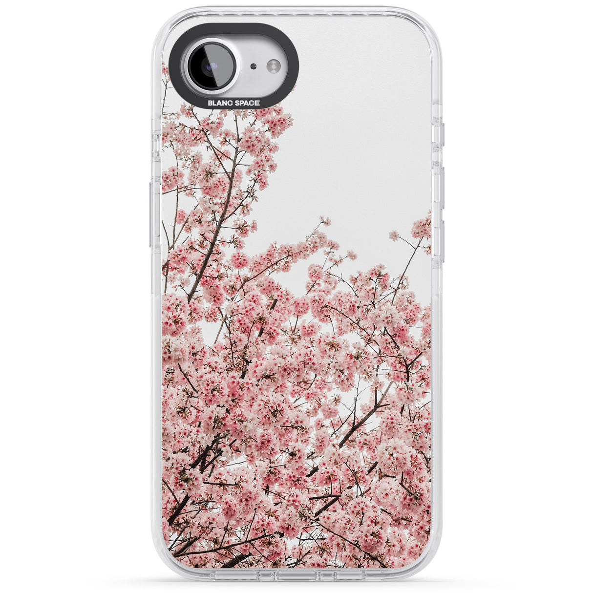 Cherry Blossoms - Real Floral Photographs