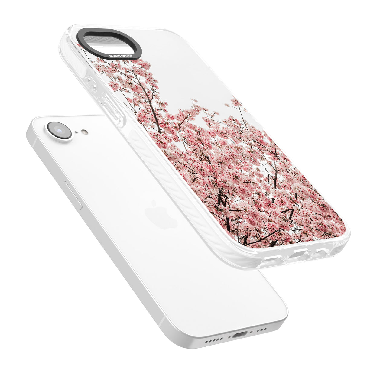 Cherry Blossoms - Real Floral Photographs