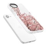 Cherry Blossoms - Real Floral Photographs