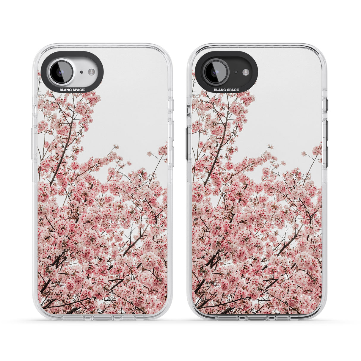 Cherry Blossoms - Real Floral Photographs