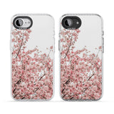 Cherry Blossoms - Real Floral Photographs