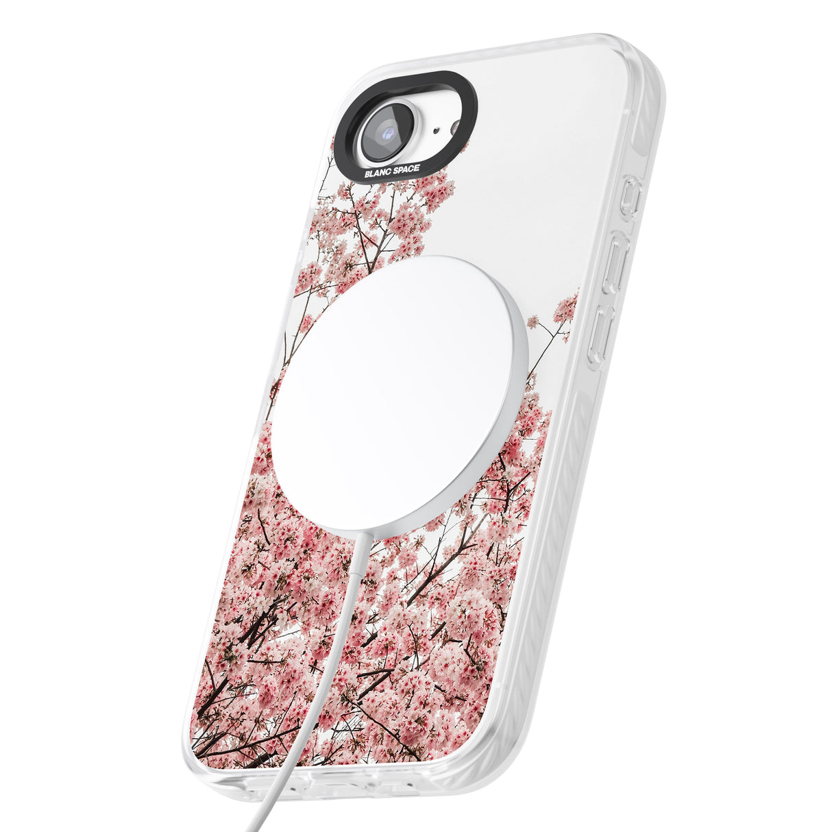 Cherry Blossoms - Real Floral Photographs