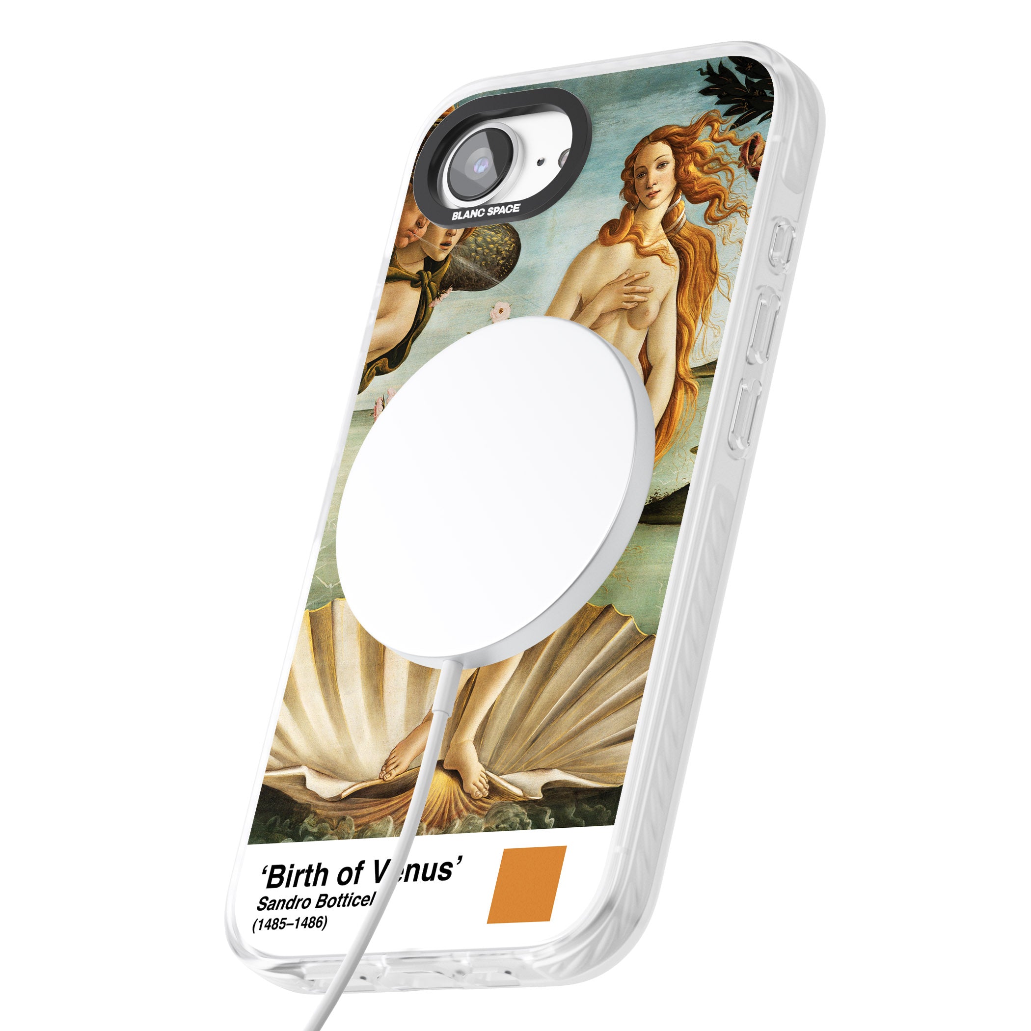 The Birth Of Venus