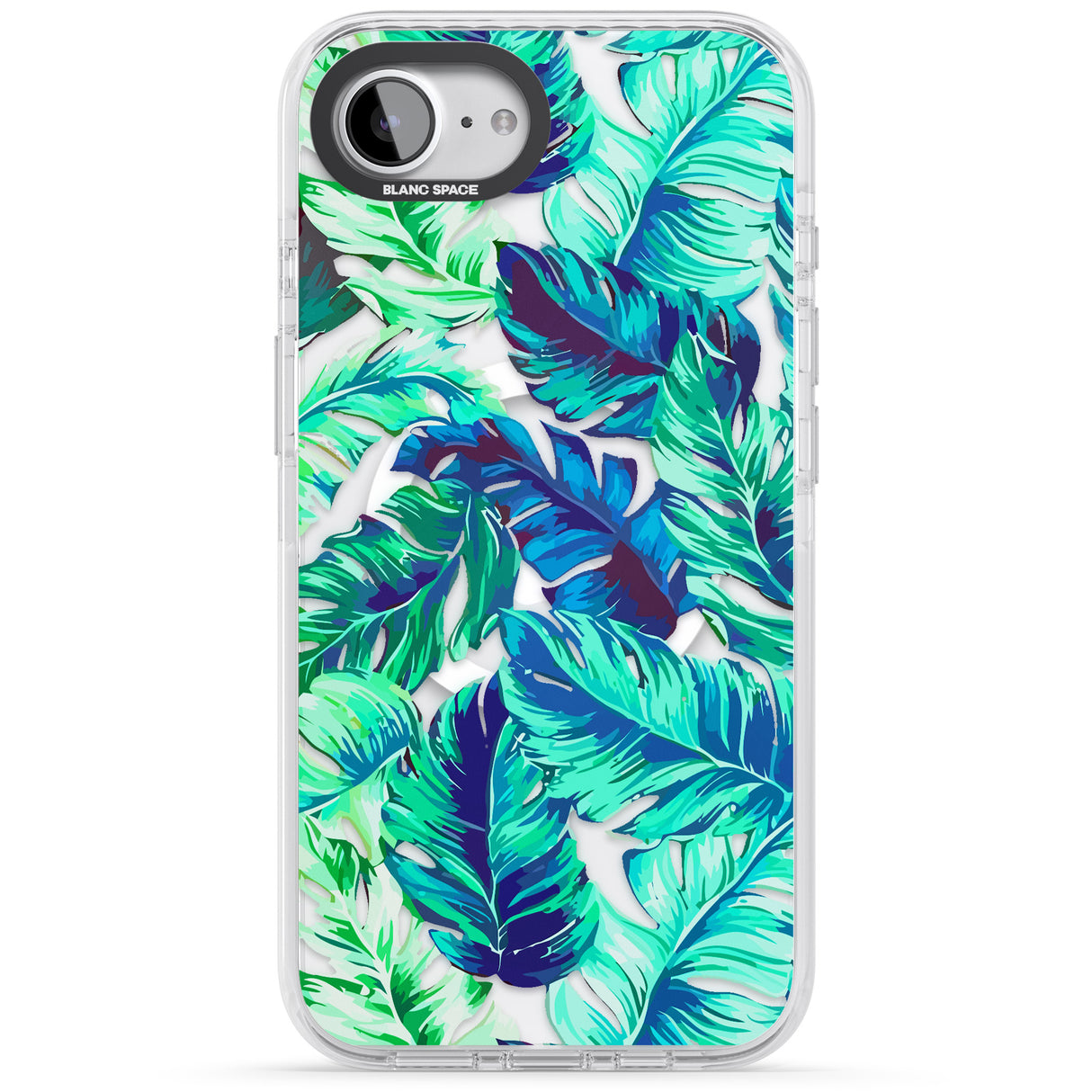 Tropical Palms