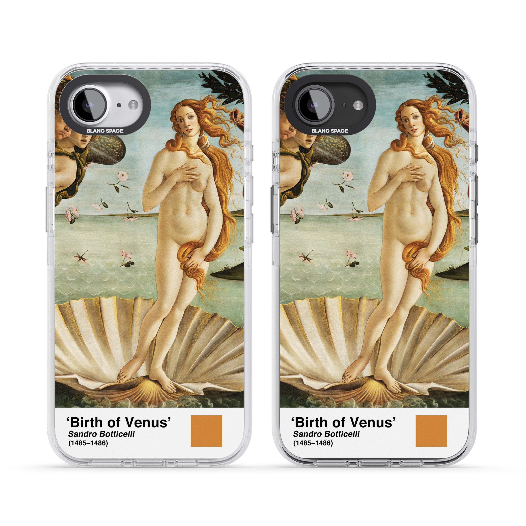 The Birth Of Venus
