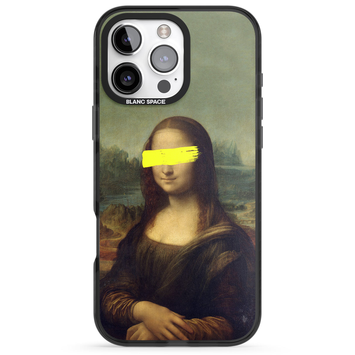 VANDALED MONA LISA