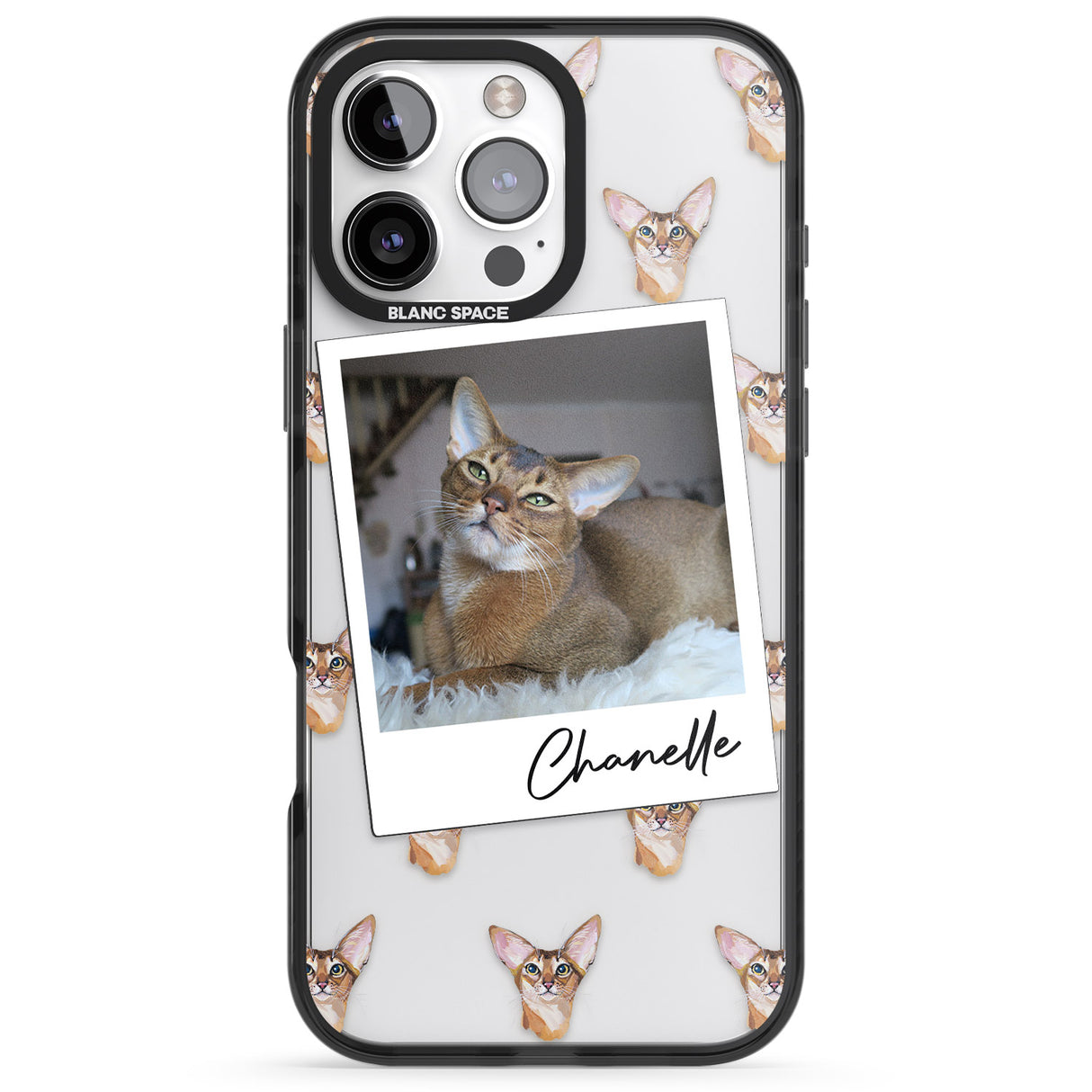 Personalised Abyssinian Cat Photo