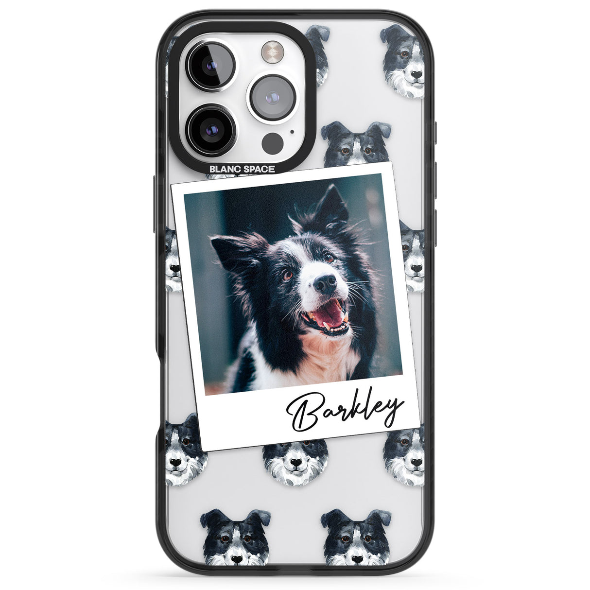 Personalised Border Collie - Dog Photo