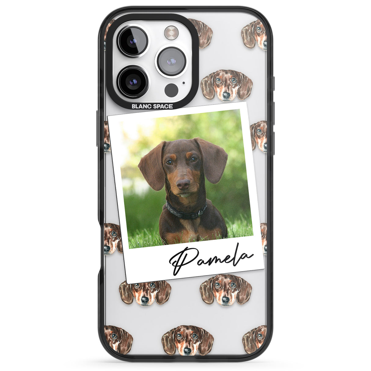 Personalised Dachshund, Brown - Dog Photo